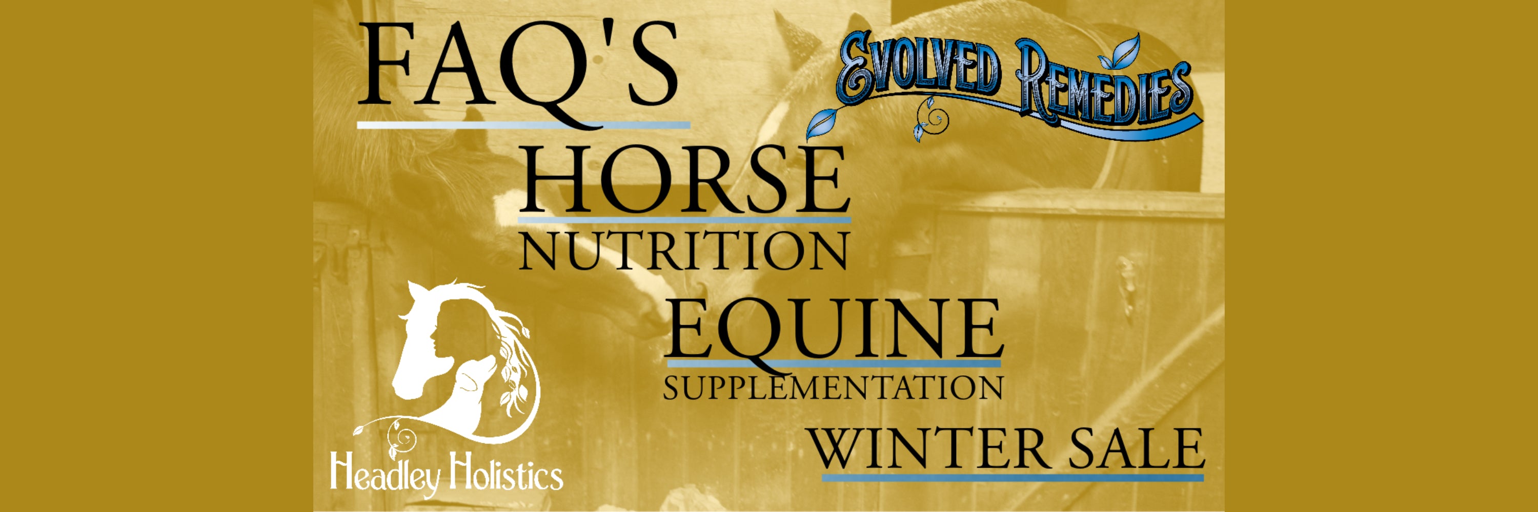 Some commanly asked questions about healdley holistics and evolved remedies, our approach to horse nutrition and why it works, and what the best equine supplementation program is
