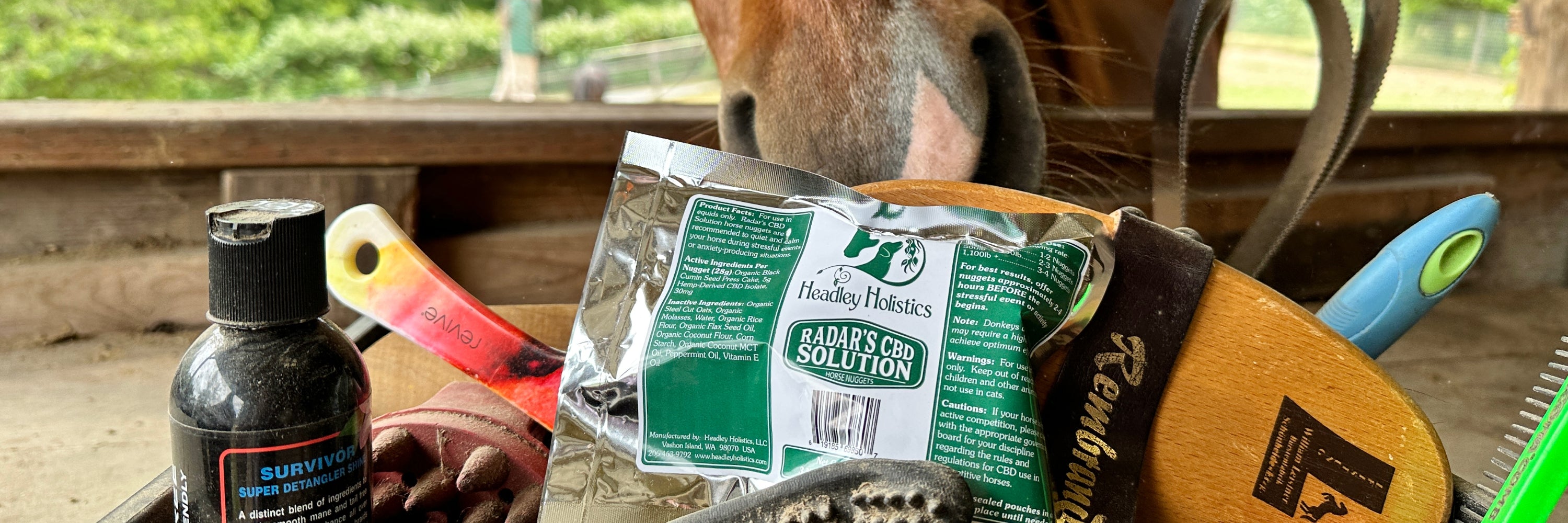 Elite Calming Nuggets by Evolved Remedies - The natural calming remedy for horses. Best Calming Supplement for horses, Horse calming product, horses love them, organic, natural, horse calm.