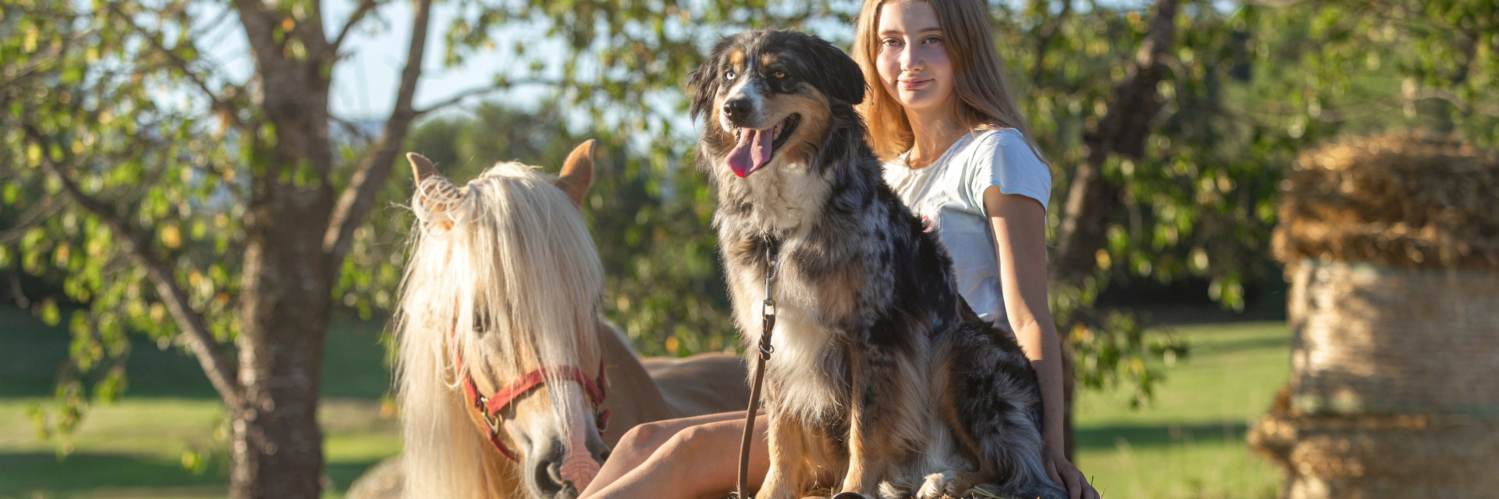 A Woman and her dog and horse, happy in the sun. Shop All Headley Holistics Products