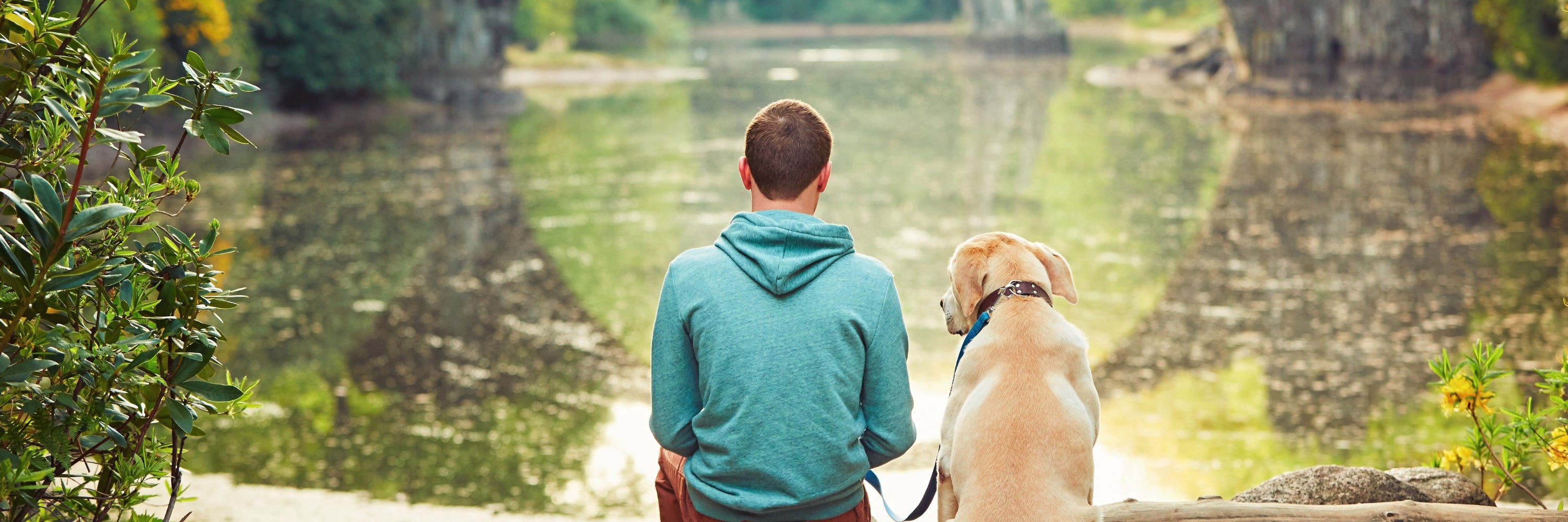 Man sitting with dog at a natural lake. All Dog Products - Headley Holistics Herbal Supplements for Dogs Natural Supplements for dogs,