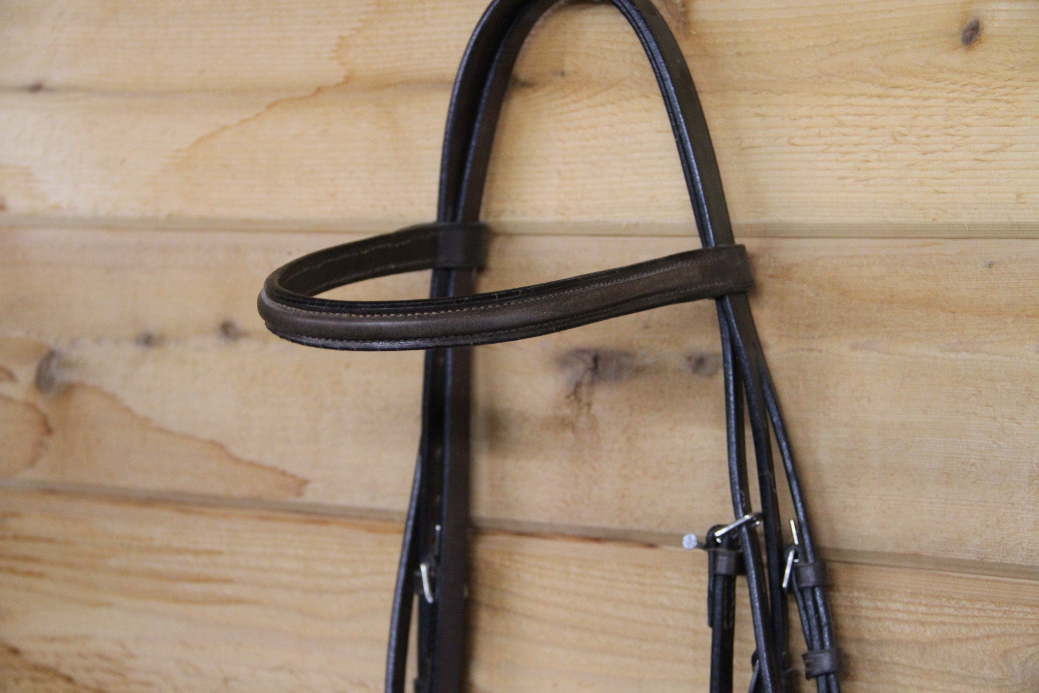 Leather Bridle