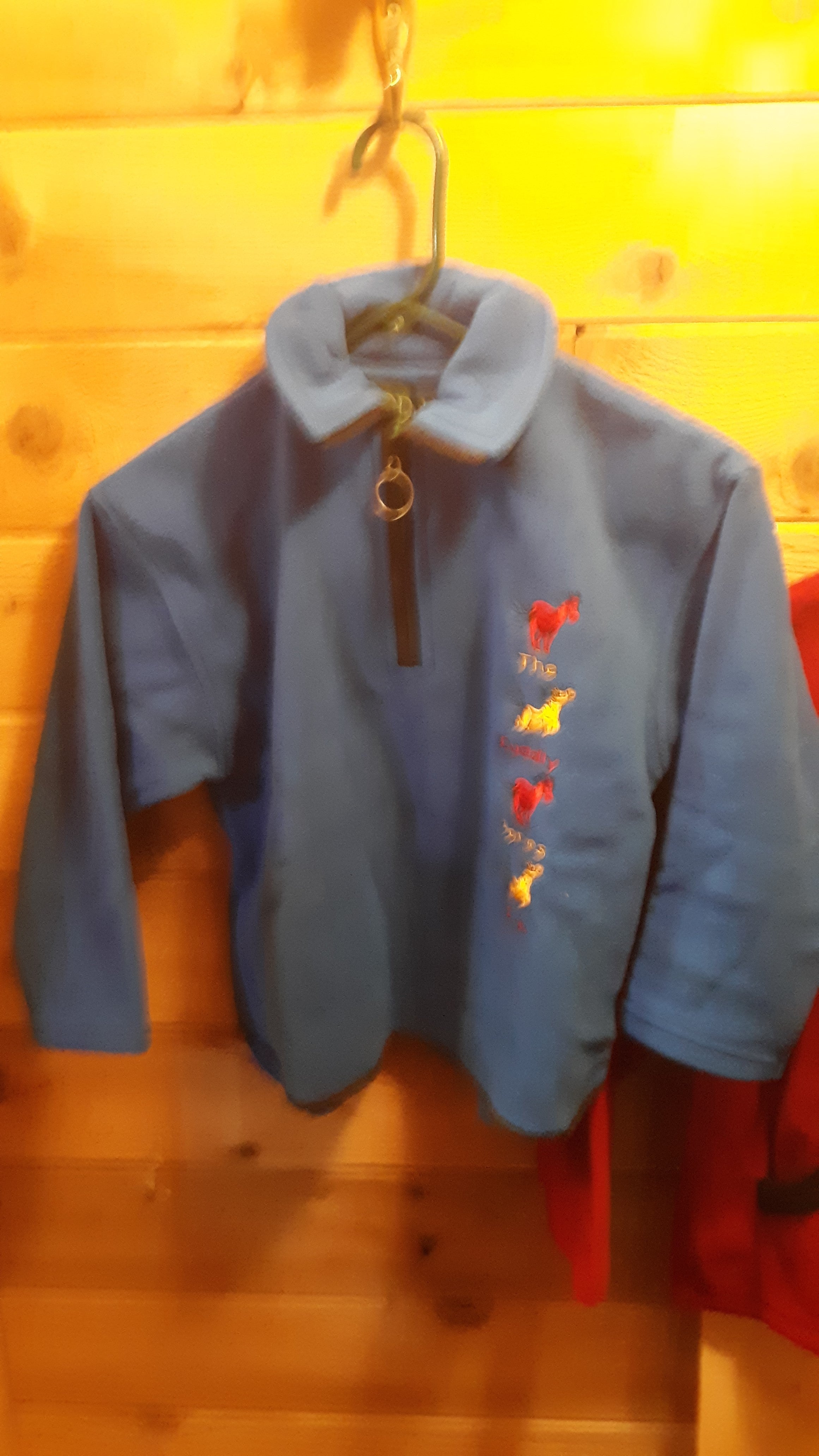 Dublin Child's Sweaters