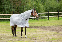 Horze Nevada Combo Shower/Fly Sheet