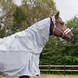 Horze Nevada Combo Shower/Fly Sheet