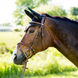 Horze Constance Bridle