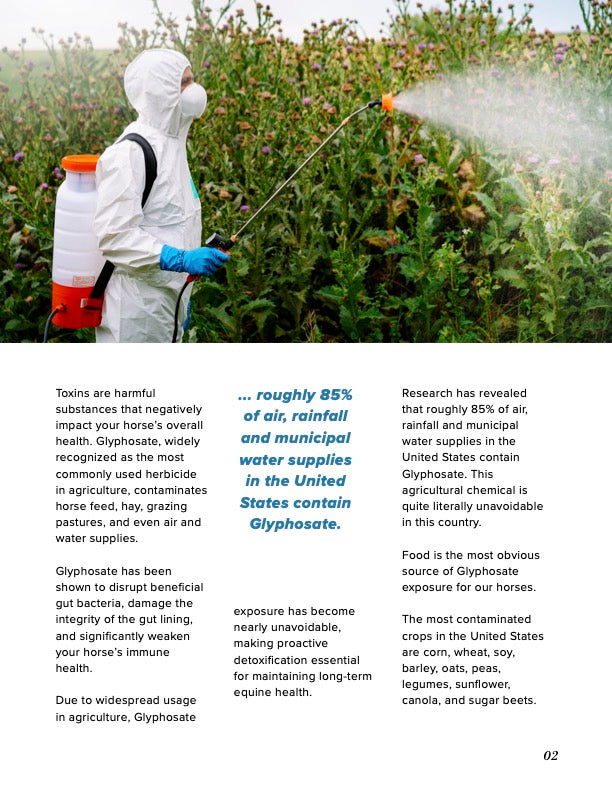 Hidden Toxins - The Root Cause of Modern Equine Disease