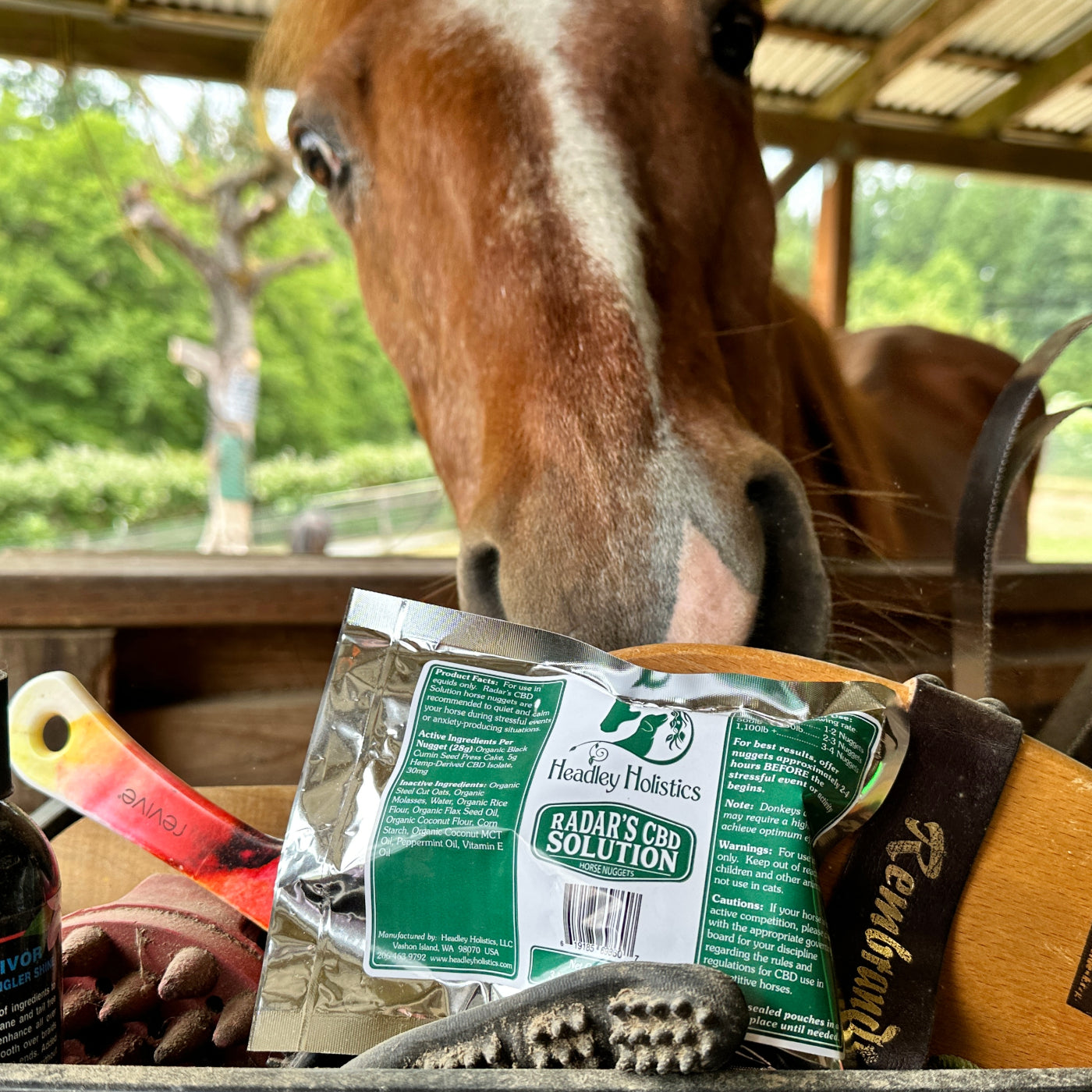 Elite Calming nuggets for horses is the best calming horse supplement on the market. Organic, human-grade and natural