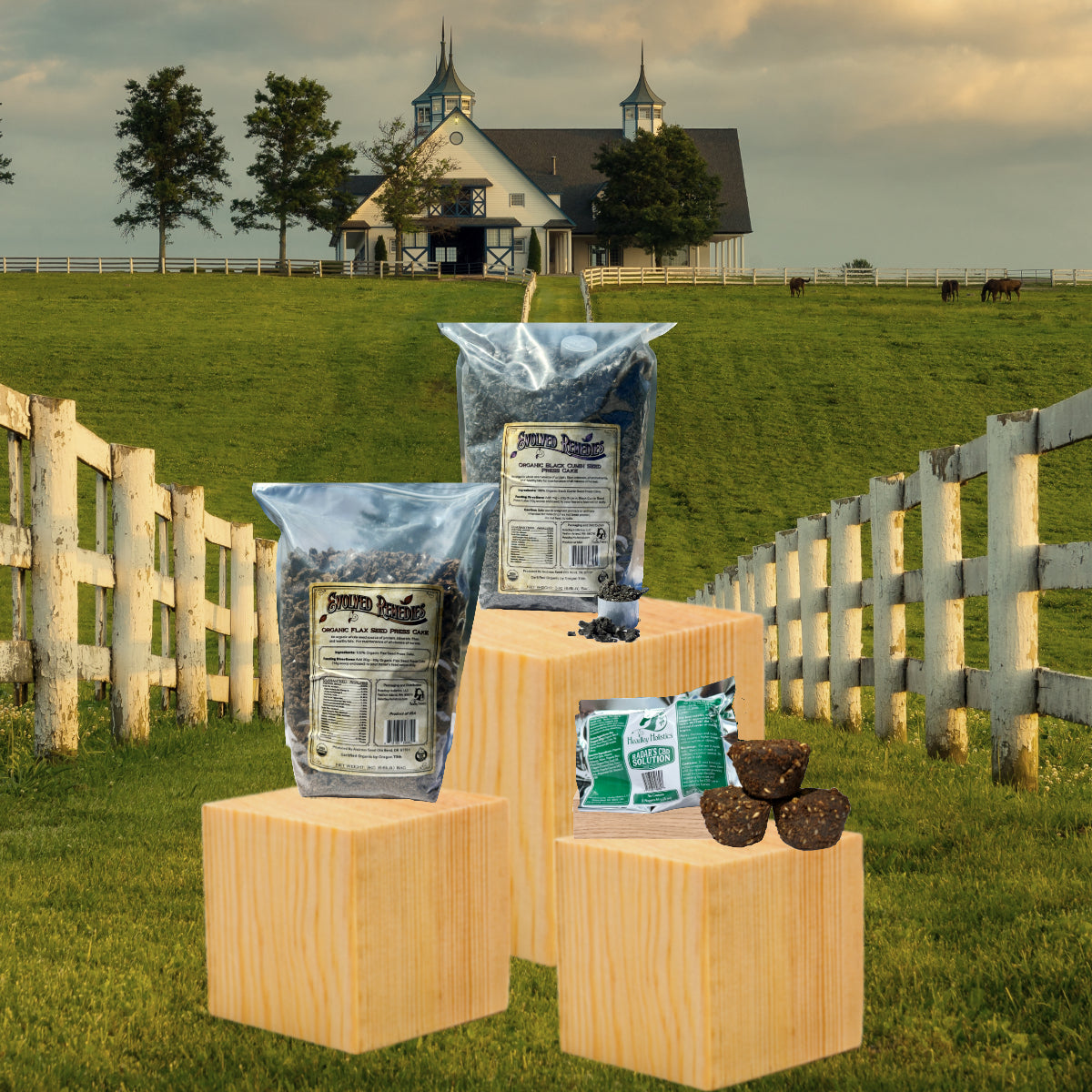 Evolved Remedies is Evolved Equine Nutrition - Set with a beautiful farm house backdrop, Evolved Remedies groundbreaking horse supplements are prominently featured, the best horse supplements. Superfood supplements for horses and elite calming nuggets 
