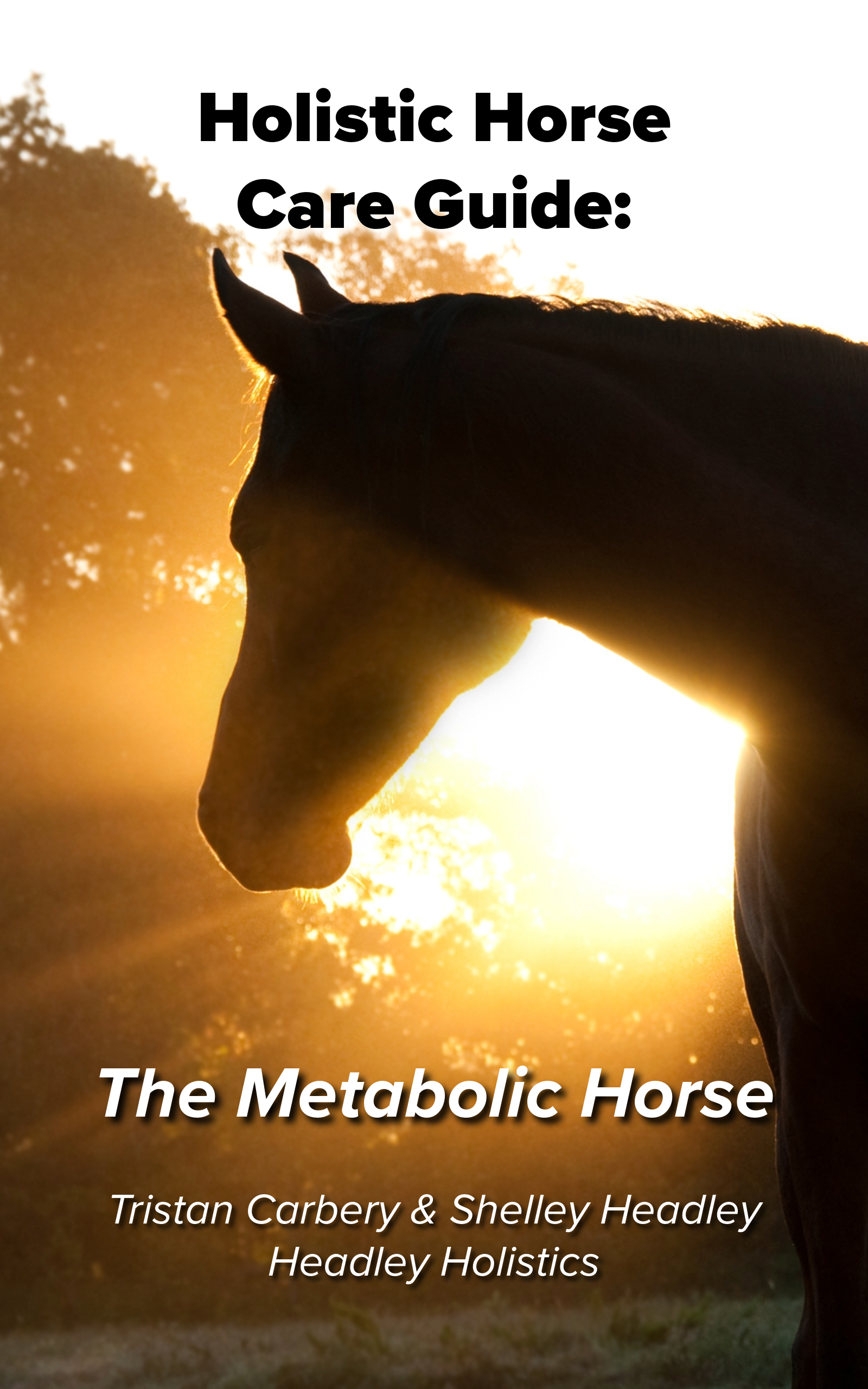 Holistic Horse Care Guide: The Metabolic Horse (eBook)