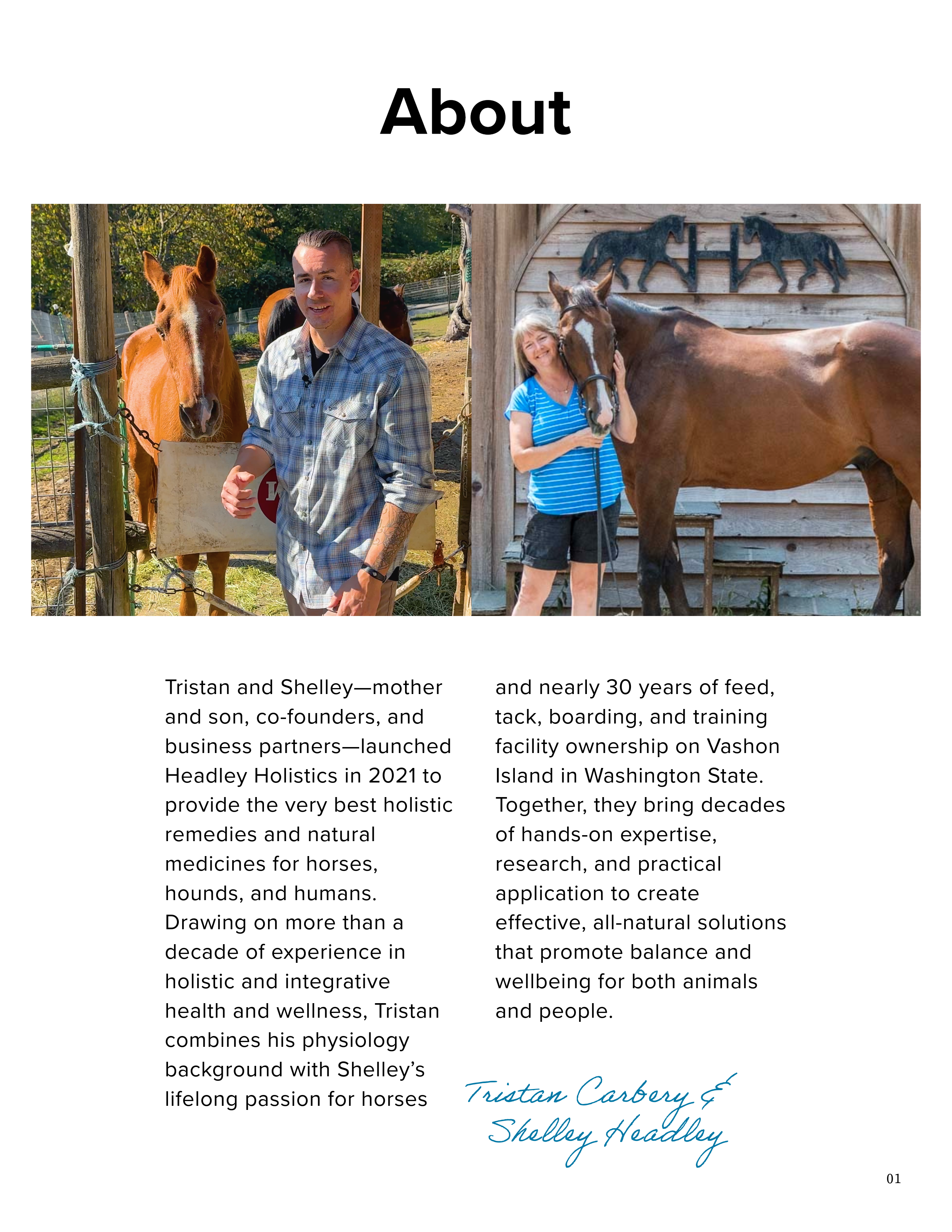 Holistic Horse Care Guide: The Metabolic Horse (eBook)