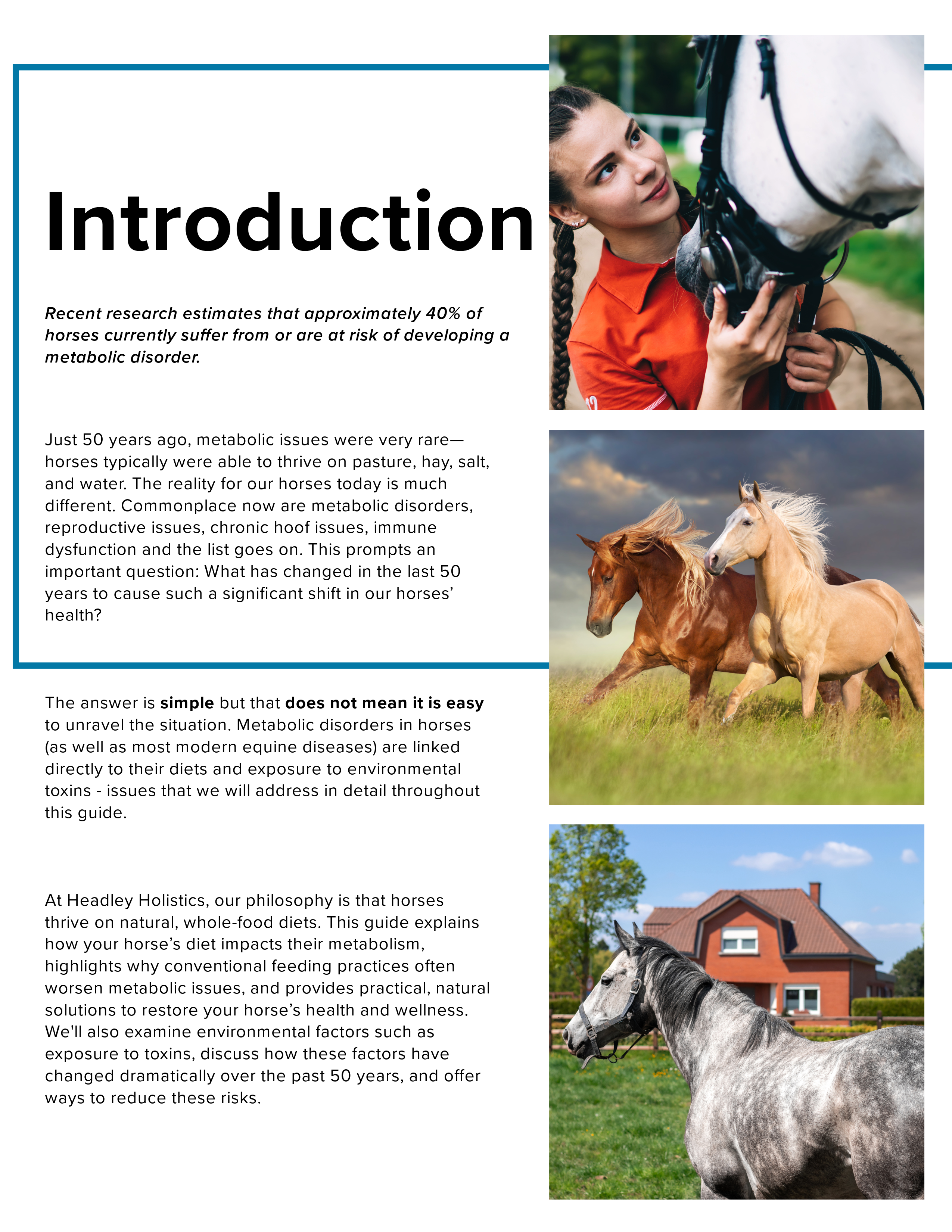Holistic Horse Care Guide: The Metabolic Horse (eBook)