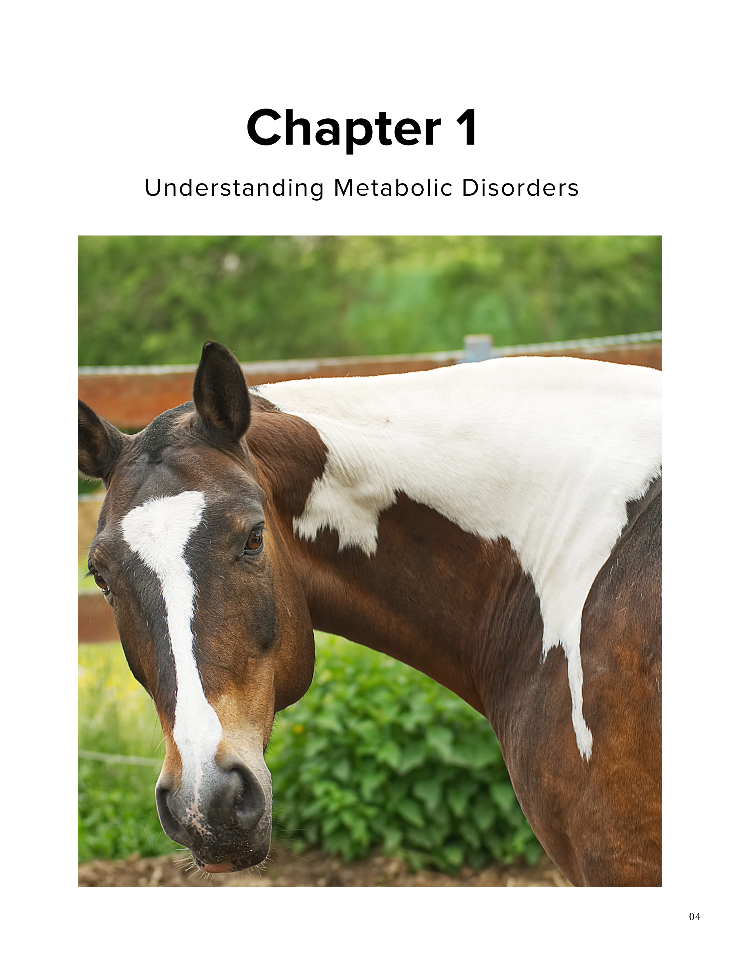 Holistic Horse Care Guide: The Metabolic Horse (eBook)