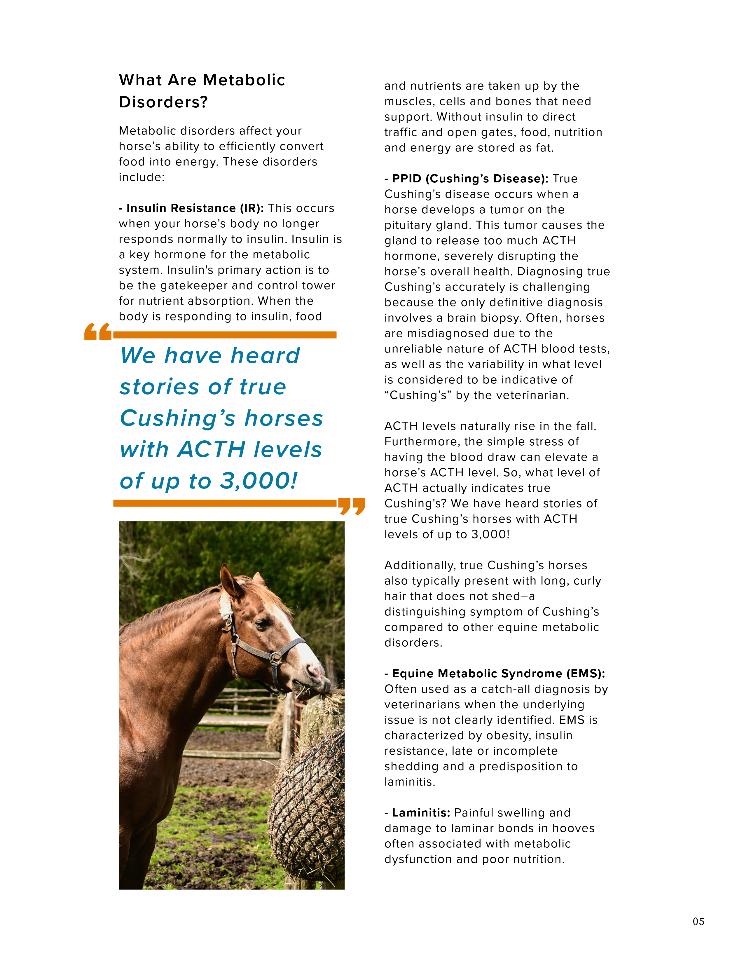 Holistic Horse Care Guide: The Metabolic Horse (eBook)