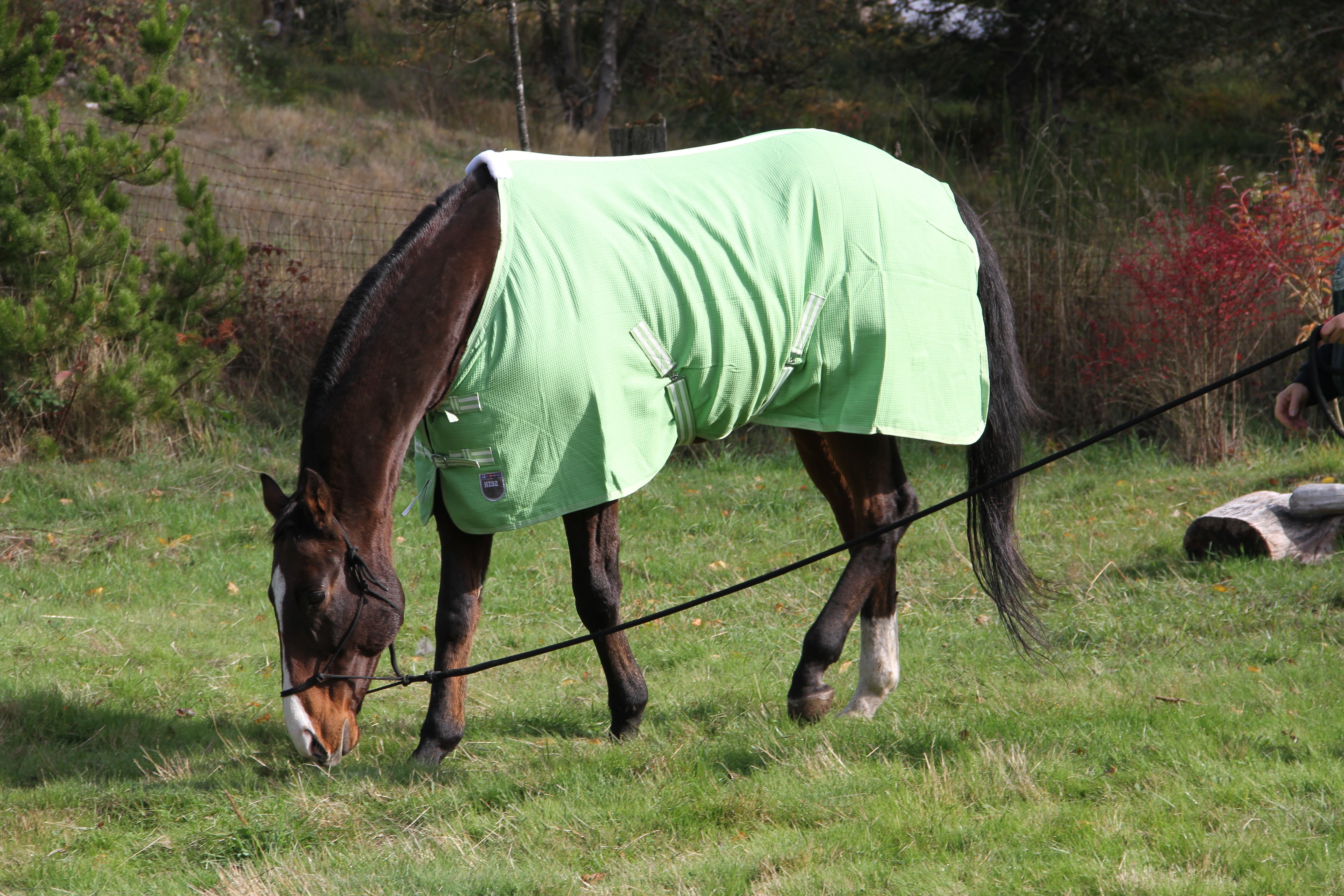 Horze Brighton Cotton Sheet