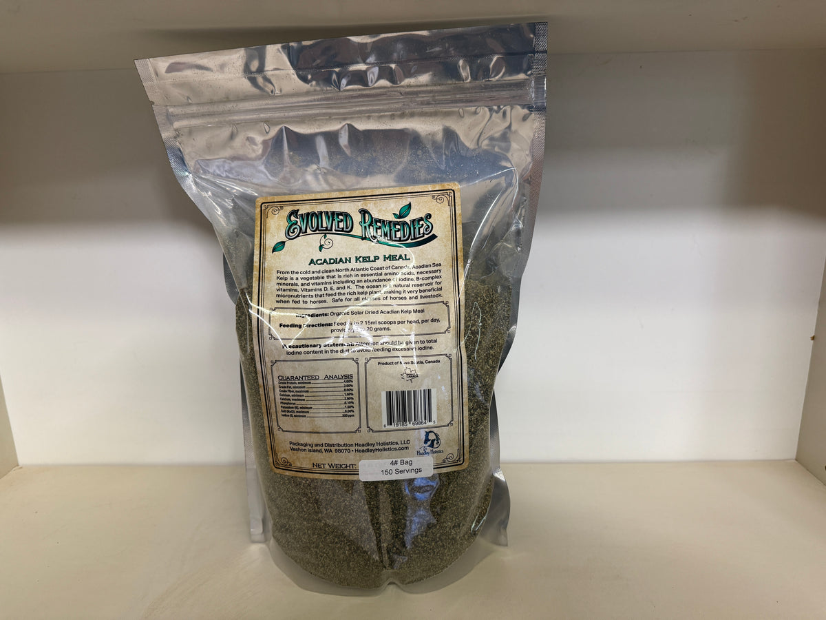 Evolved Remedies Acadian Kelp Meal