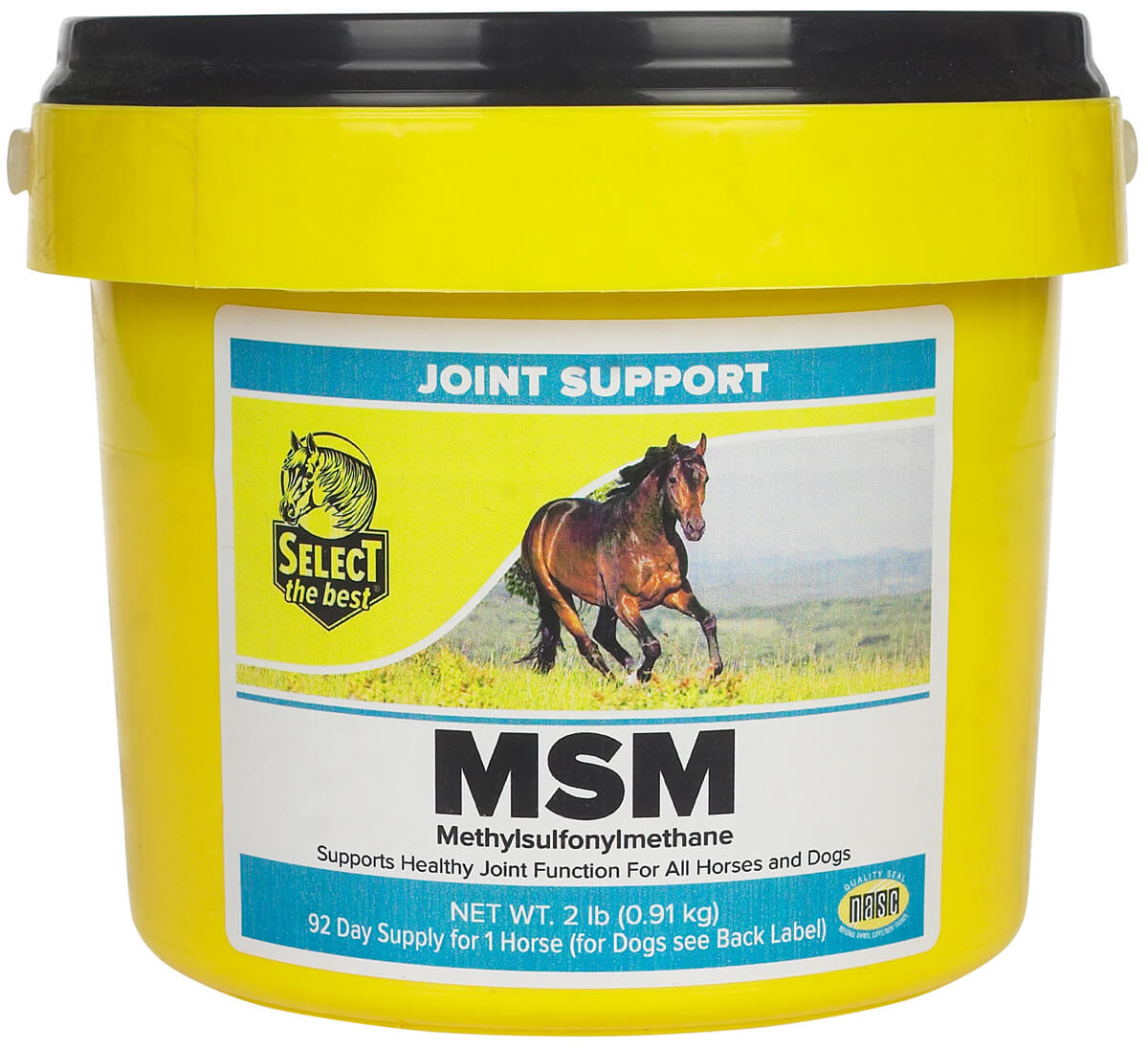 Equine Anti-Inflammatory & Arthritis Support Bundle