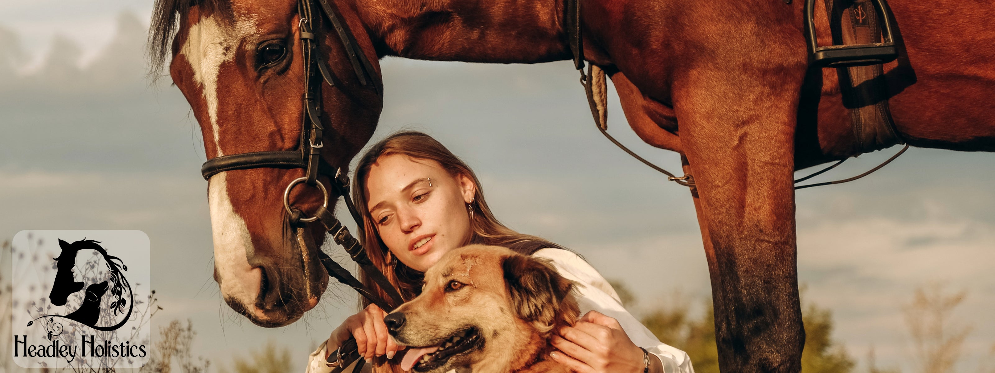 Healthy Holistic woman, her horse and her dog sitting in the afternoon sun