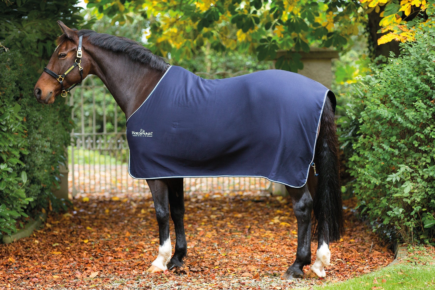 Rambo Cotton Cooler / Belly Strap