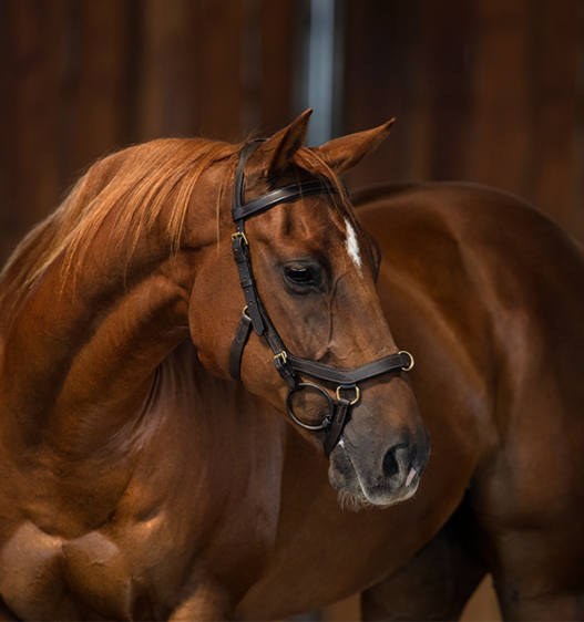 Horseware Rambo Micklem Multibridle
