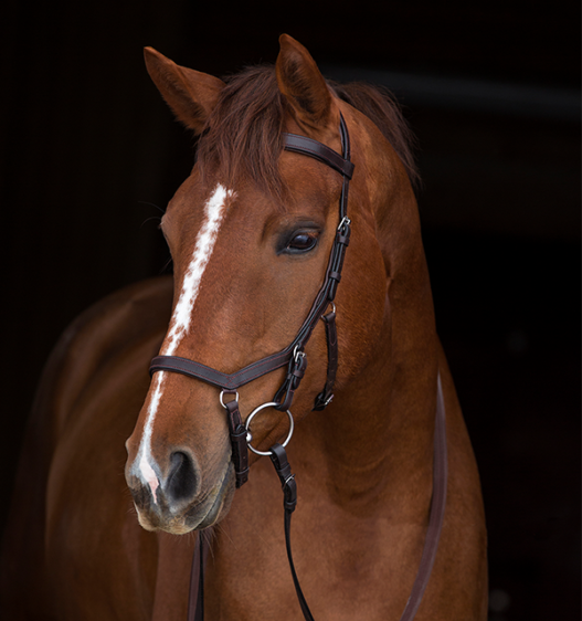 Horseware Rambo Micklem Competition Bridle with Reins