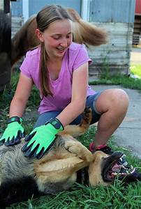 Hands On Grooming Gloves