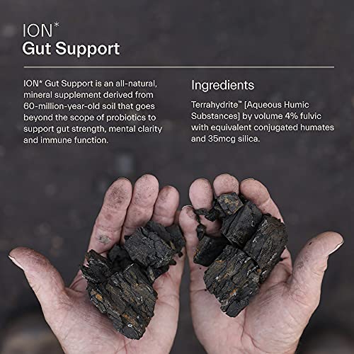 ION* Gut Support