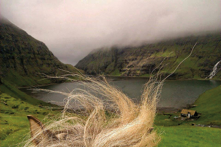 Life Between the Ears: Norway, Spain, Egypt, Ireland, Morocco
