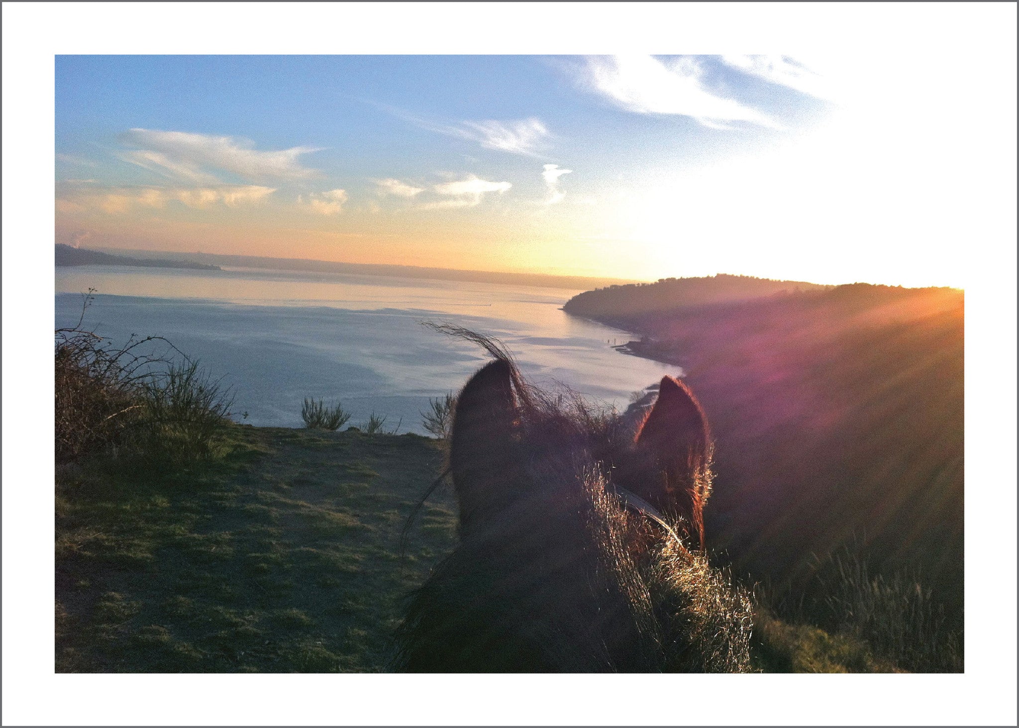 Life Between the Ears: The World from a Saddle (Vashon Island)