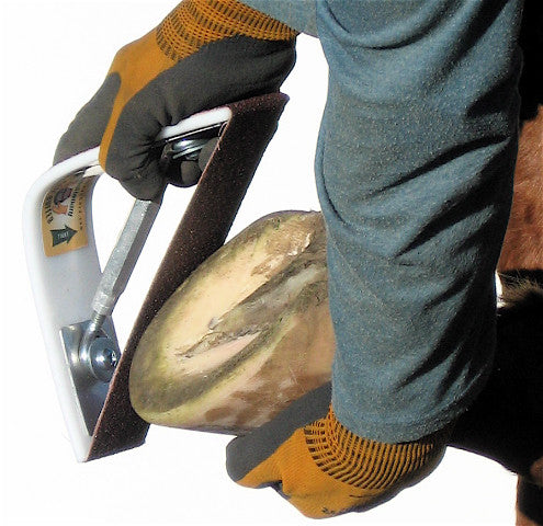 Evo Hoof Buffer-1 w/Sanding Belts