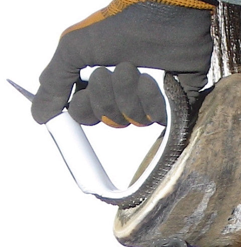 Evo Bar & Sole Rasp-1 'Original' Rasp Tooth