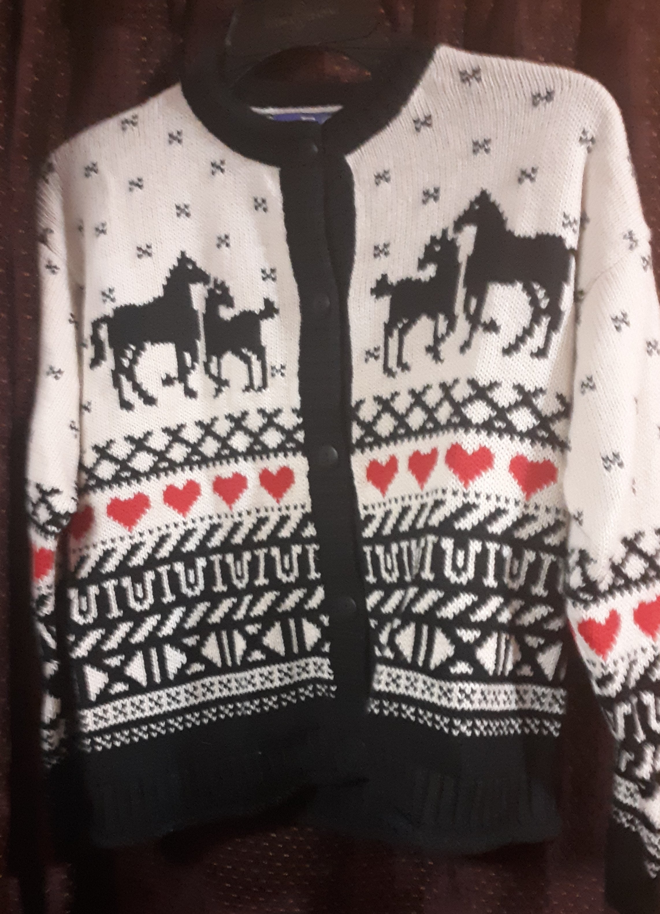 EQ Rider Child's Sweater