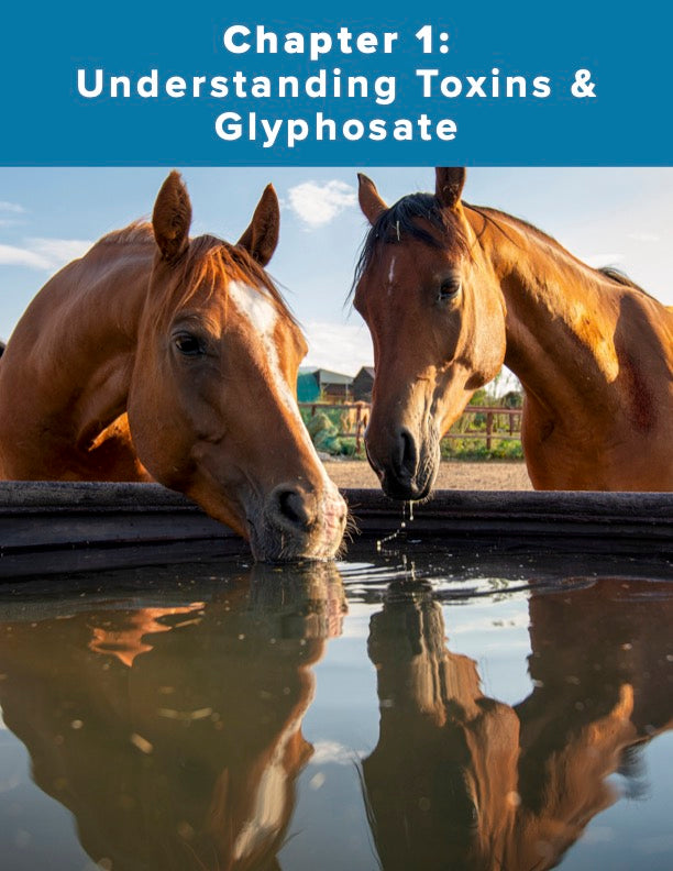 Hidden Toxins - The Root Cause of Modern Equine Disease