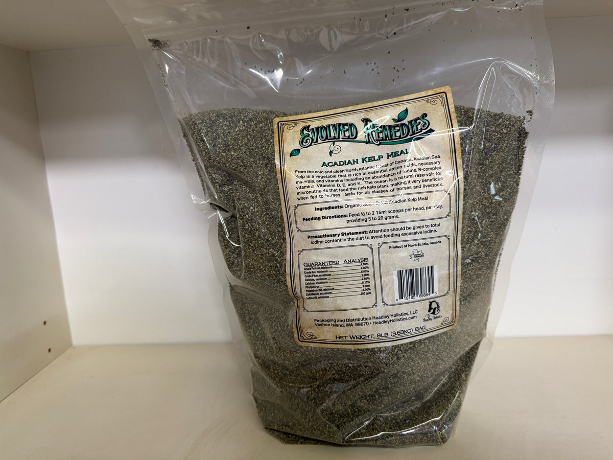 Evolved Remedies Acadian Kelp Meal