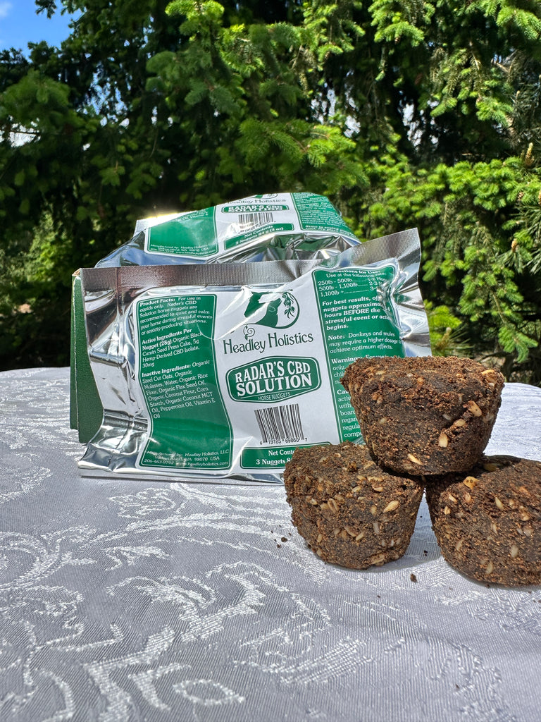 Product Photo of Elite Calming Nuggets by Evolved Remedies. Product on table with trees in the background