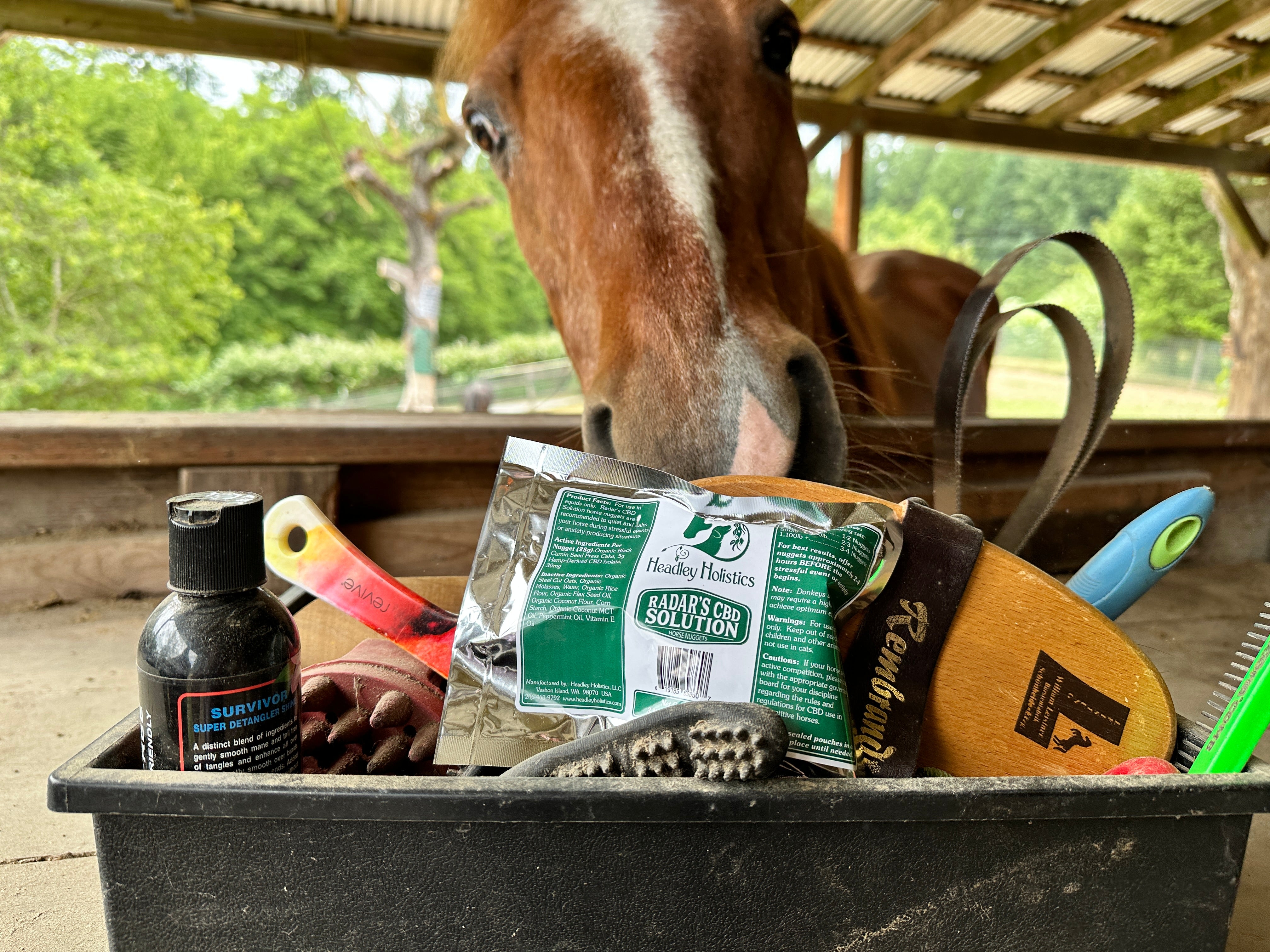 Product Photo of Elite Calming Nuggets by Evolved Remedies. Product on table with horse in background