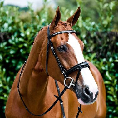 Horze Modena Bridle