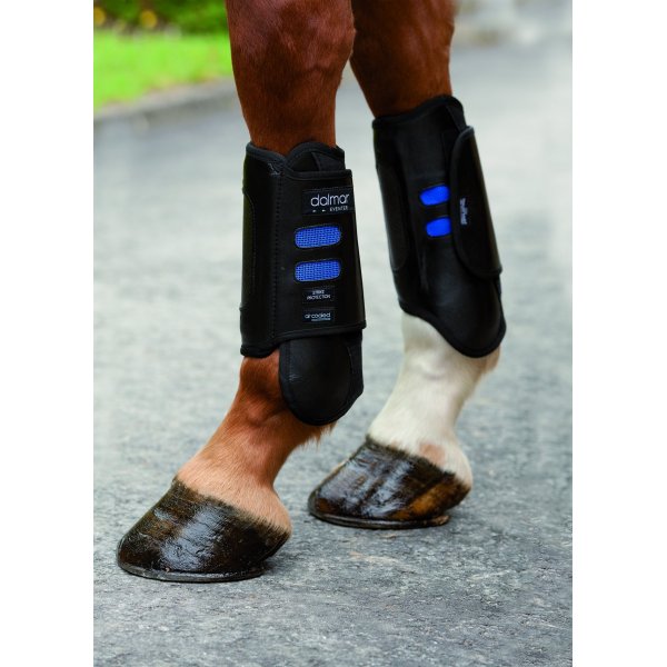 DALMAR-Eventer Front Boot