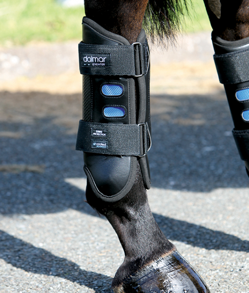 DALMAR-Eventer Back Boot