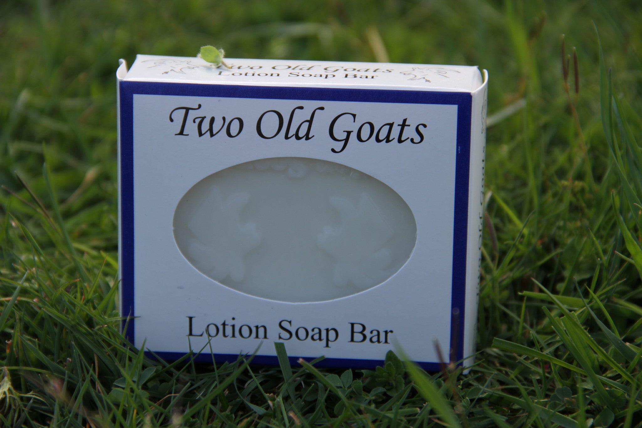 Two Old Goats Lotion Bar