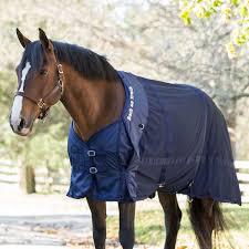 Back on Track Therapeutic Mesh Equine Sheet
